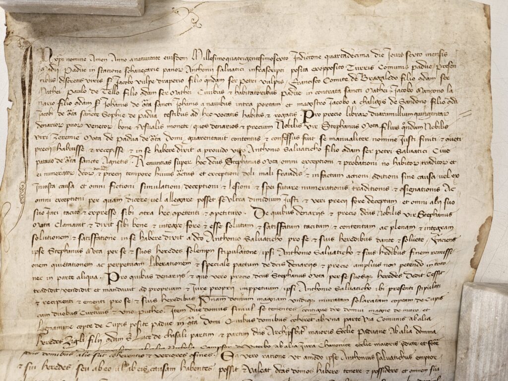 Documento storico della famiglia Selvatico