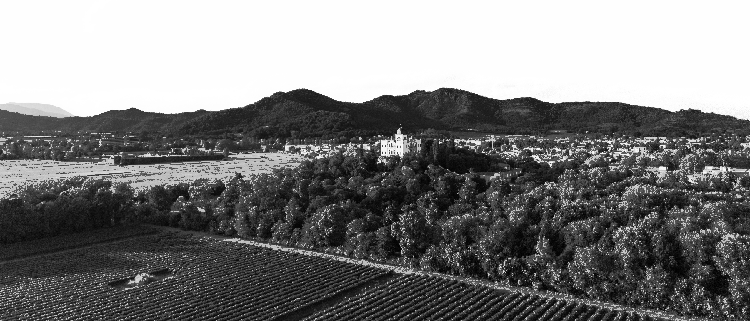 Vista di Villa Selvatico - Sfondo